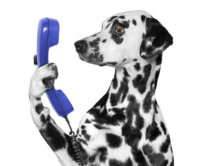 Strong Customer Service and Support During Holiday Season