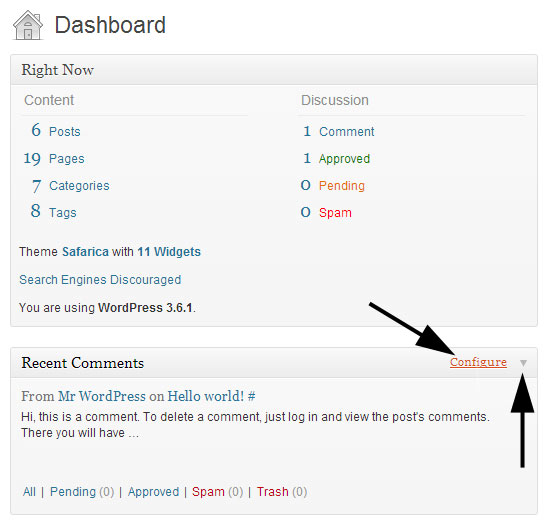 Screen options on a WordPress dashboard