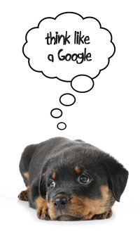 Puppy dog thinking about Google